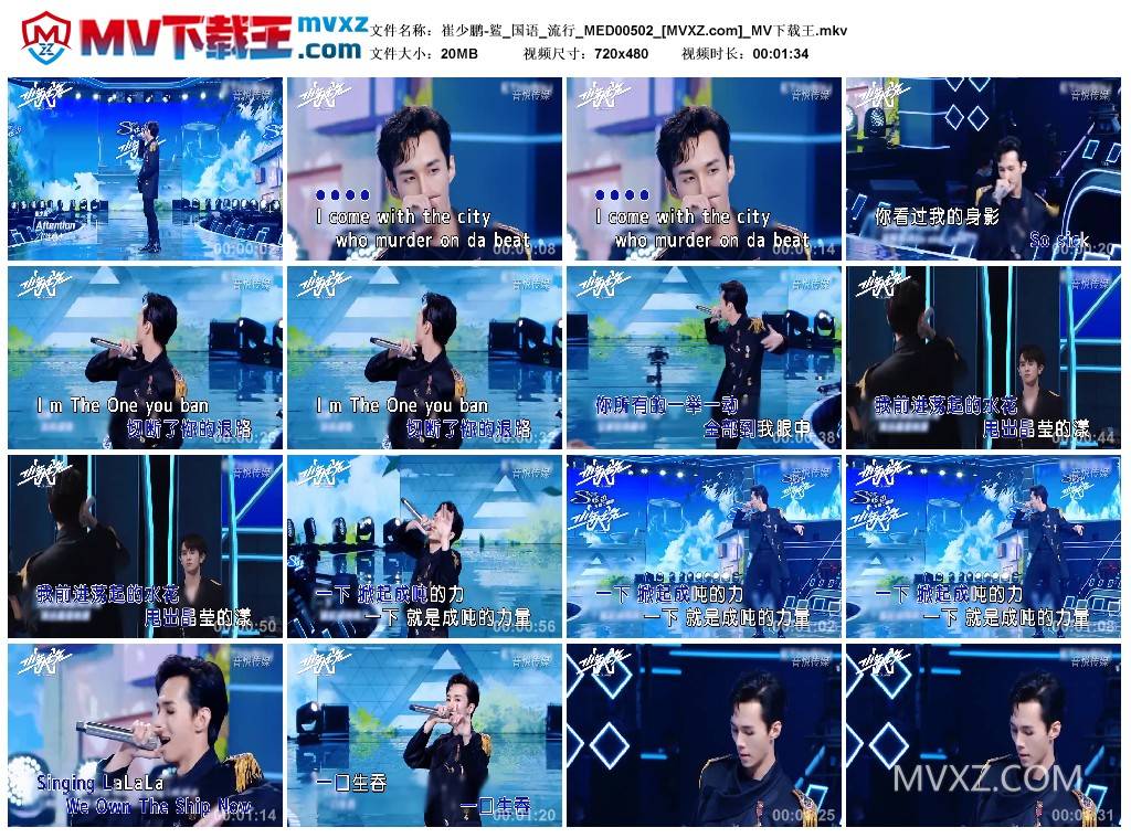 崔少鹏-鲨_国语_流行_MED00502